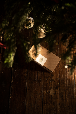 Blad Steen Schaar geschenkdoos onder de kerstboom