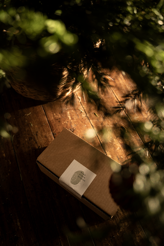 Blad Steen Schaar pakje onder de kerstboom