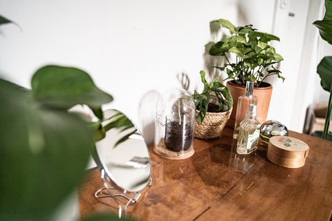 Kast met spiegel, kiemplantje onder stolp en plantjes