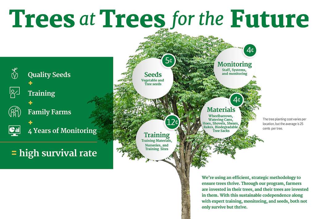 Trees at trees for the future overzicht van de kosten