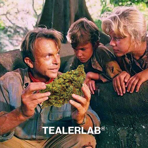 6 façons de consommer du CBD - TealerLab