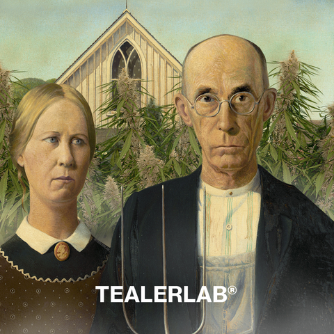 CBD culture and its history according to tealerlab