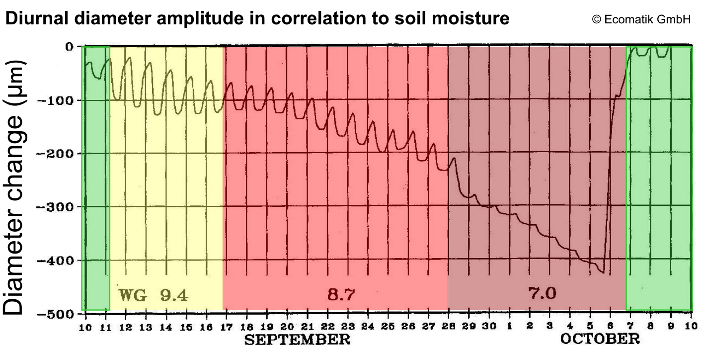 diameter amplitude in correlation to soil moisture