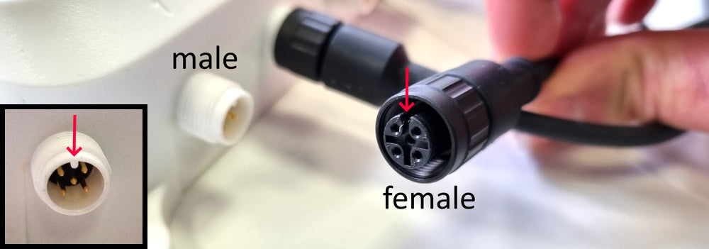 male and female m12