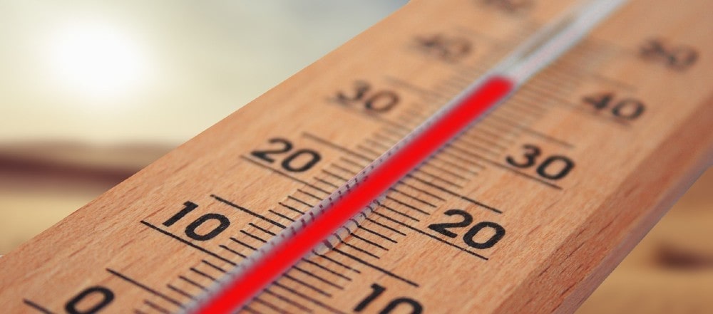 Een thermometer meet een temperatuur die te hoog is voor het kweken van meelwormen.