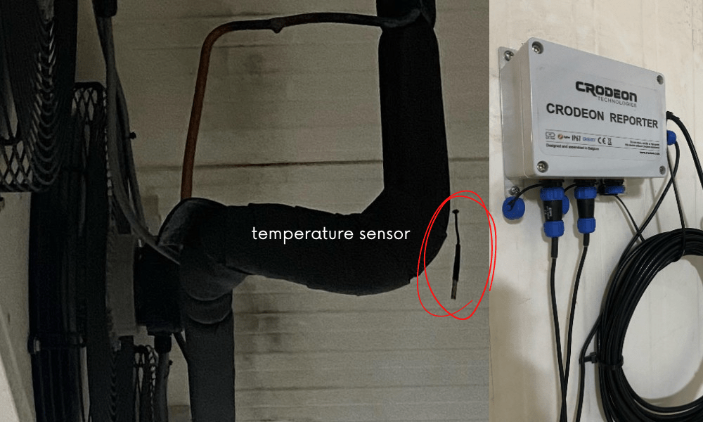 temperature sensor for temperature registration and monitoring in a fish filetting company