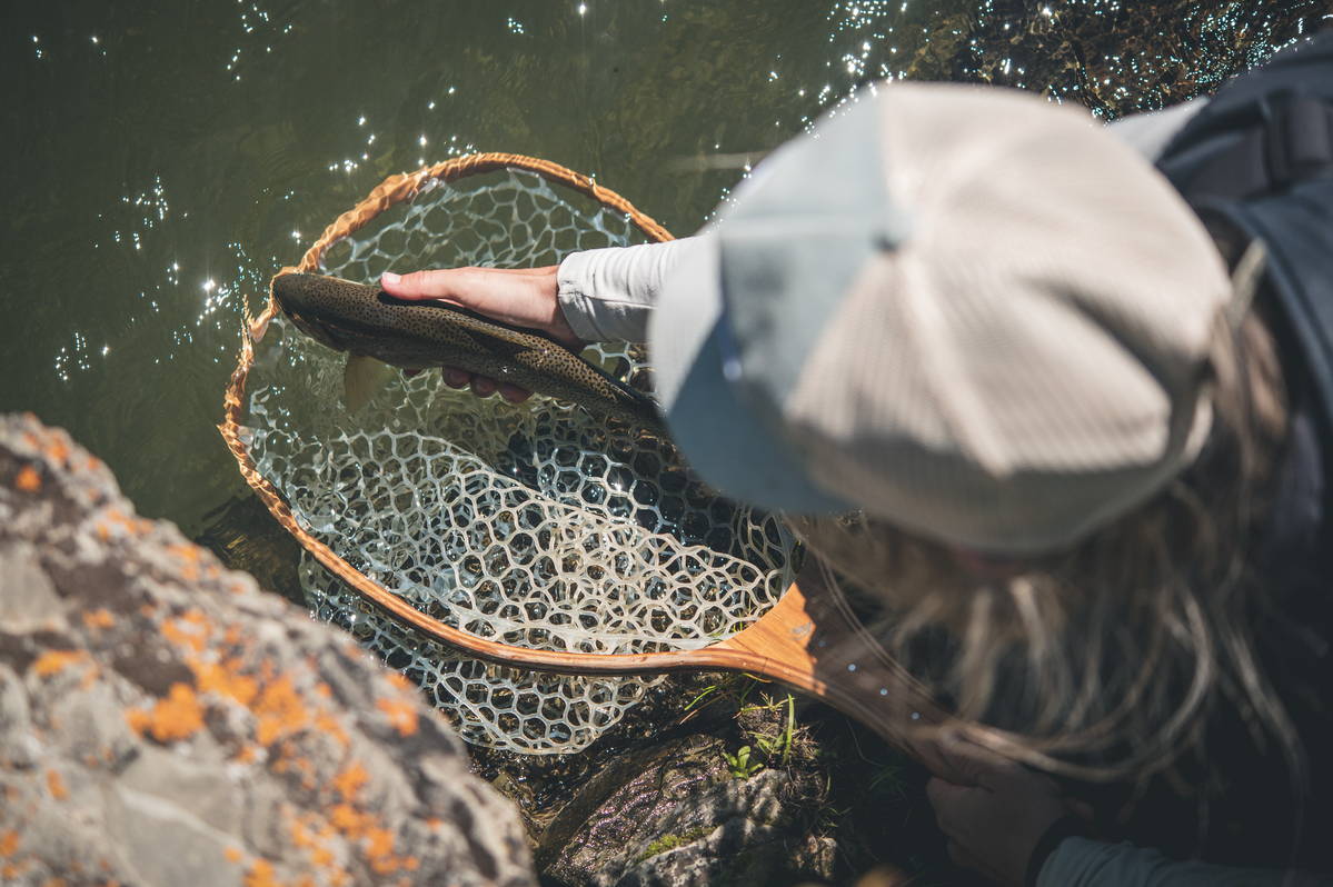 Loomis Intros New Guide-driven IMX-PRO Fly Rods Hatch, 55%, 46% OFF