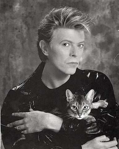 David Bowie