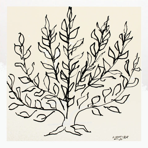 Henri Matisse  Le Buisson, 1951, encre et gouache sur papier, 149x149 cm.