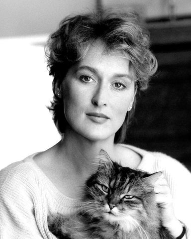 Meryl Streep.