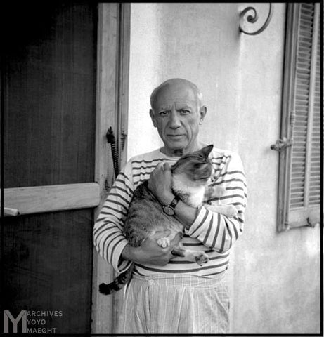 Picasso et le chat