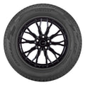 Pirelli - Ice Zero FR - 215/55R17 XL 98H BSW