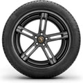 Continental - ContiWinterContact TS 830 P - 215/60R17 96H BSW