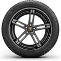 Continental - ContiWinterContact TS 830 P - 225/50R18 XL 99V BSW