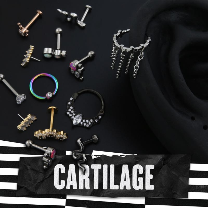 Tragus / Cartilage Rings