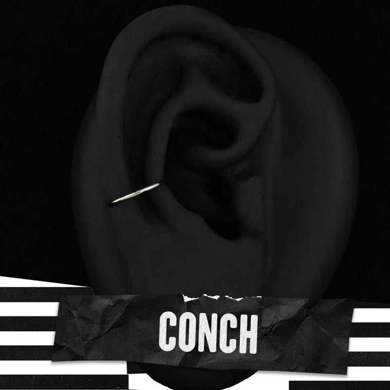 Conch Piercing