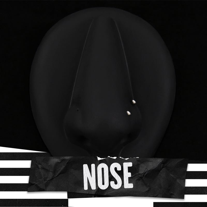 Nose Piercing (nostril)