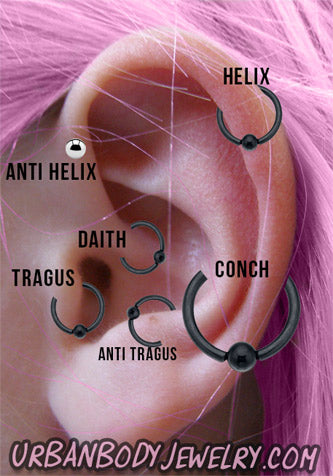 Ear Piercings   Ear piercings chart Ear piercings Types of ear  piercings