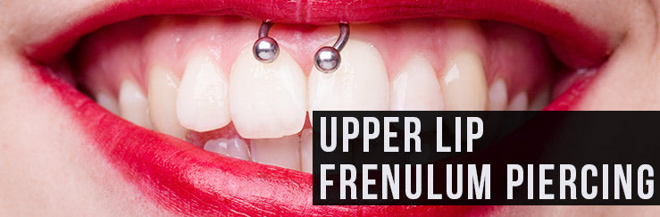 Upper Lip Frenulum Piercing Aka Smiley Scrumper Piercing Urbanbodyjewelry Com