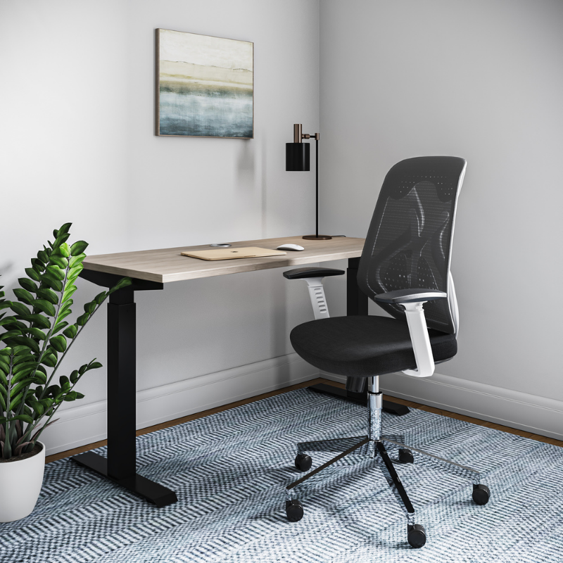 Ergonomic Chairs for Home | Affordable Pricing | Porvata