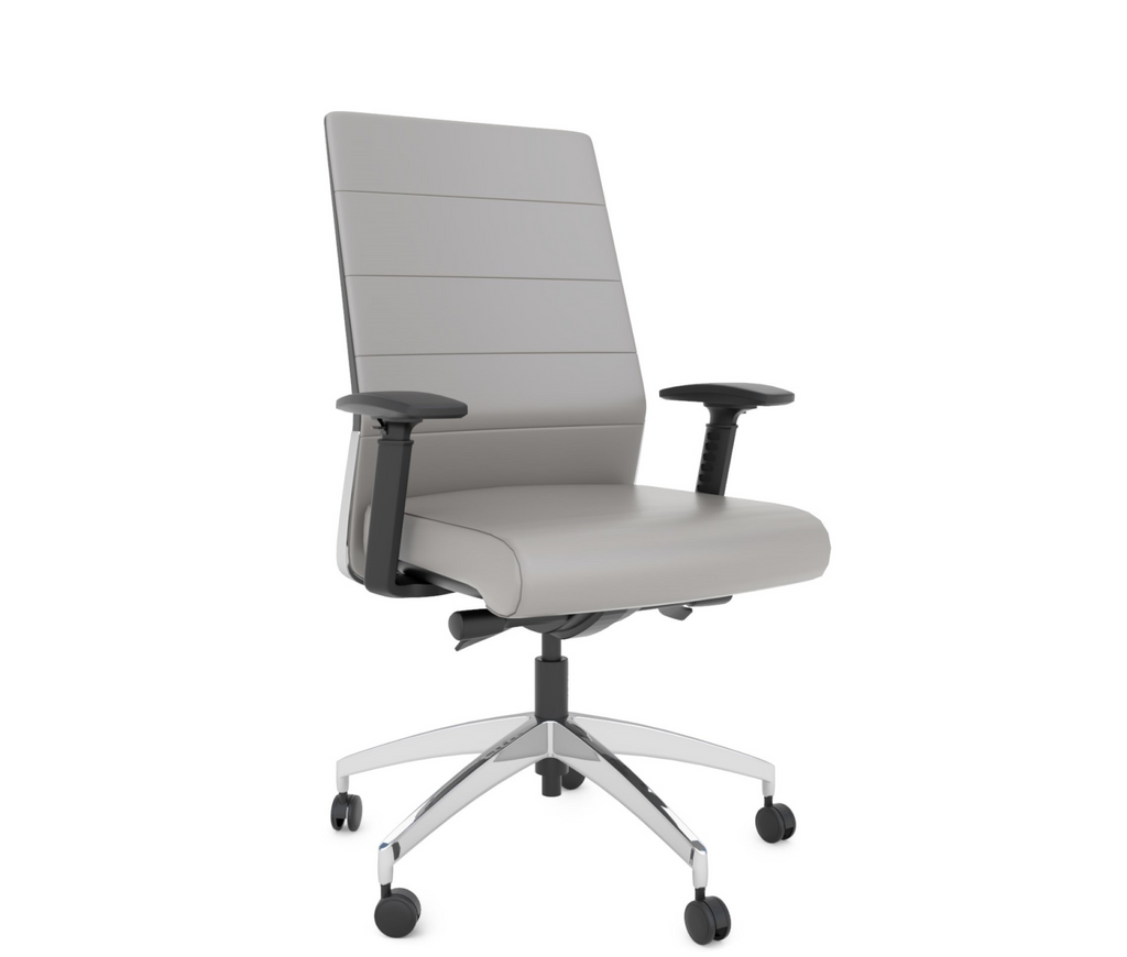  OLYDON Back Support Office Chair - Posture Correction