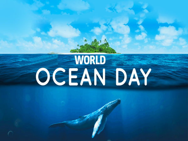 world-ocean-day