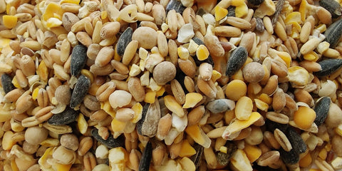 oekologisk hoensefoder uden soya