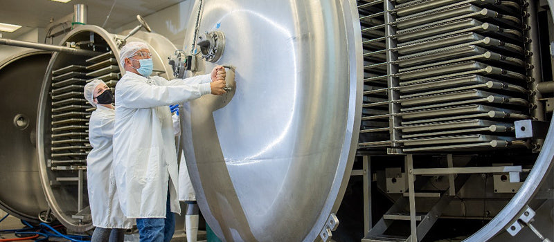 The Process of Freeze-Drying Meals