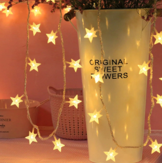 Guirlandes lumineuses dans un pot