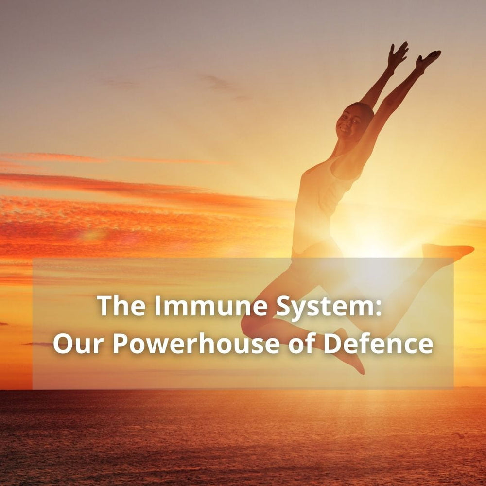 The Immune System: Our Powerhouse of Defense – Edica Naturals