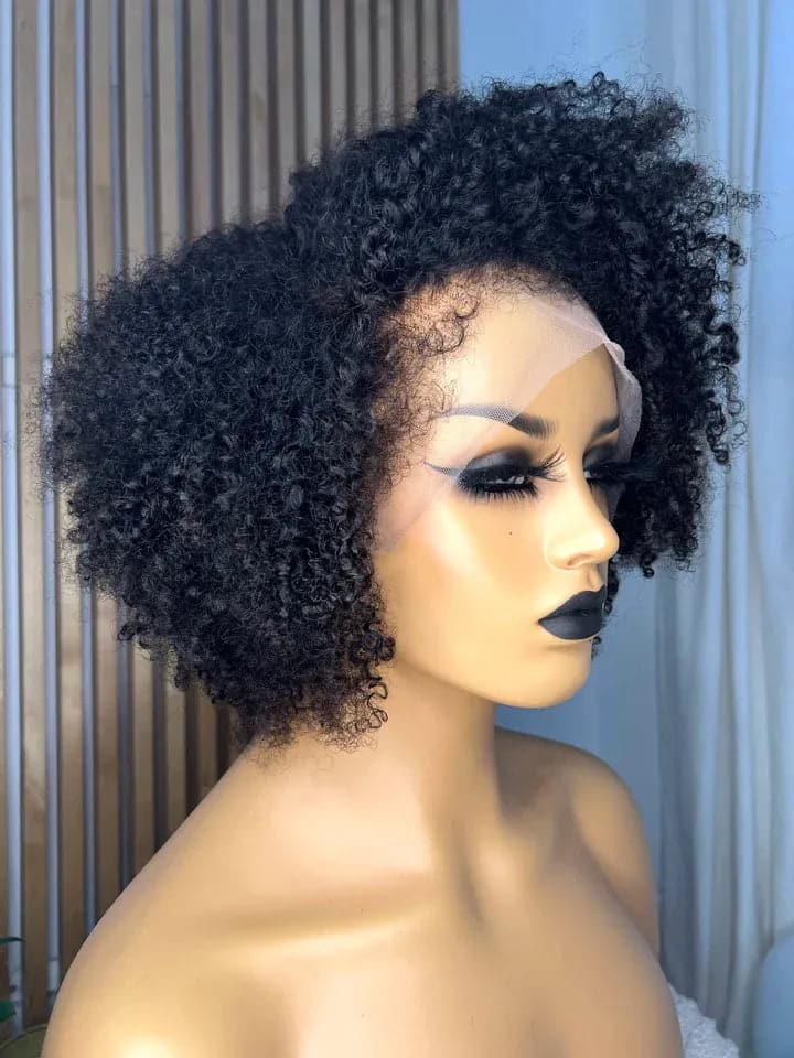 Kinky Curly  Kinky Edges Pre Plucked 13x6 Crystal Lace Front Human Ha –  GeniusWigs