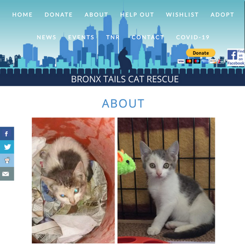 Pakypet restituisce al Bronx Tails Rescue