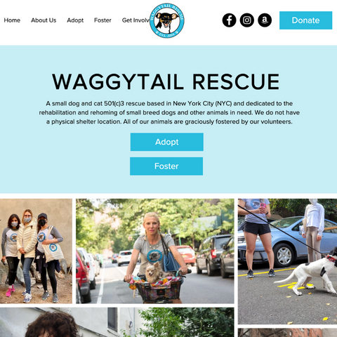 Pakypet restituisce a Waggy Tails Rescue