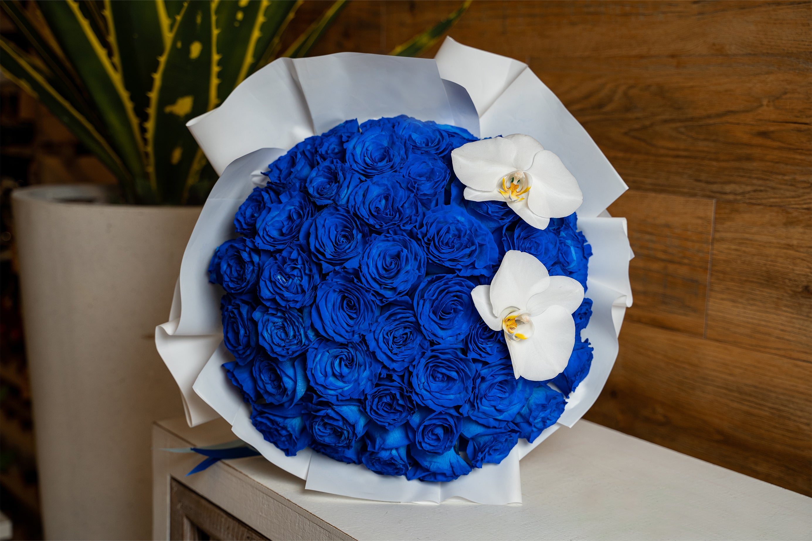 The Proposal rosas azules 75 – Floristeria Croto Jr.