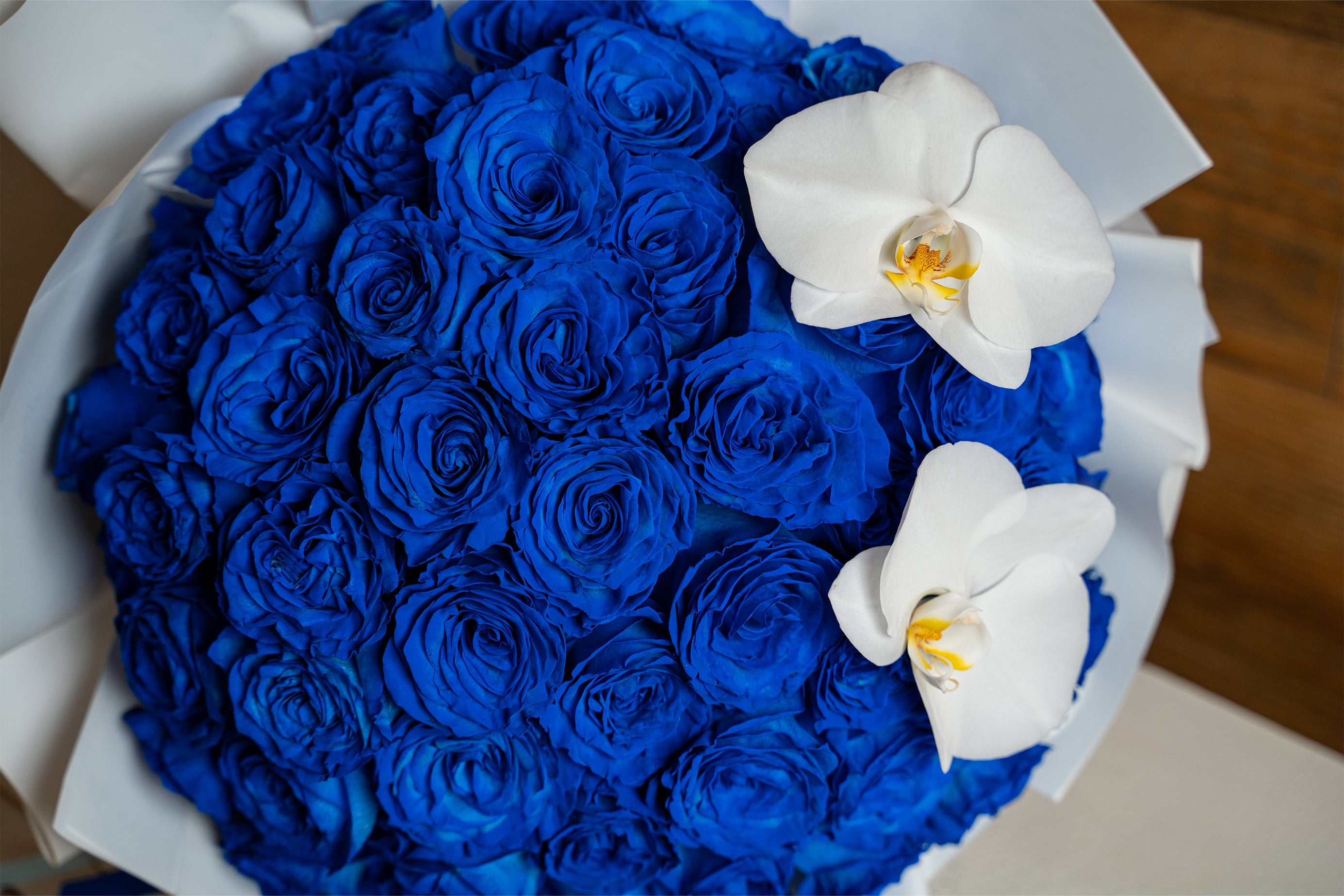 The Proposal rosas azules 75 – Floristeria Croto Jr.