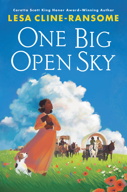 Cover of One Big Open Sky 