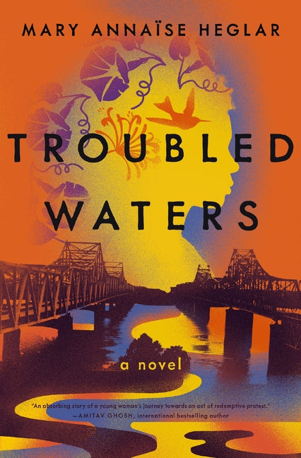 Cover of Troubled Waters: A Novel 