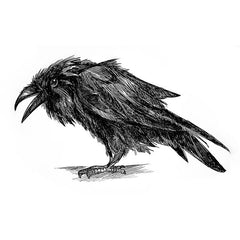 Modèle de tatouage corbeau 6