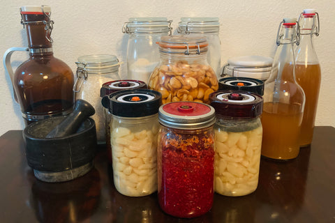 my ferments: get started in fermentation