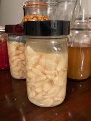 a garlic brine that has been sitting for over two months - get started in fermentation
