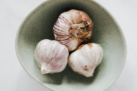 All about garlic, a Down to Ferment love affair