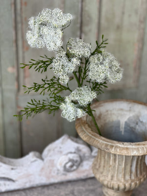 24" Queen's Lace Spray - Cotton & Crete