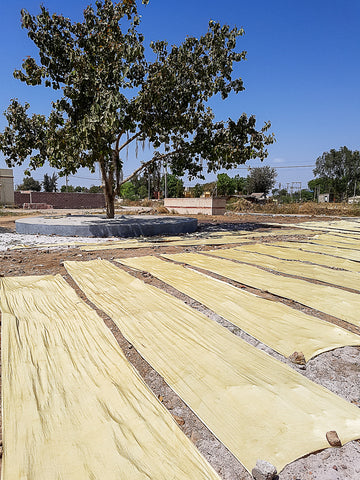 myrobalan dyed lengths of fabric in the Kutch desert