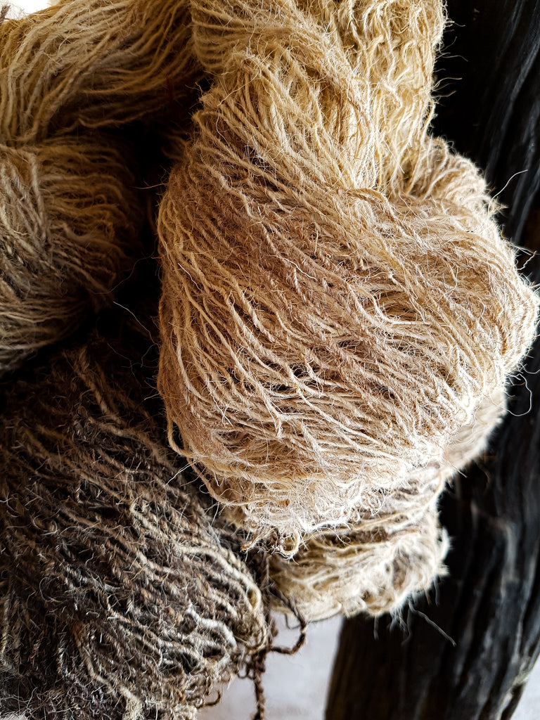 magnified rustic brown and cream coloured indigenous Indian pure sheep wool 