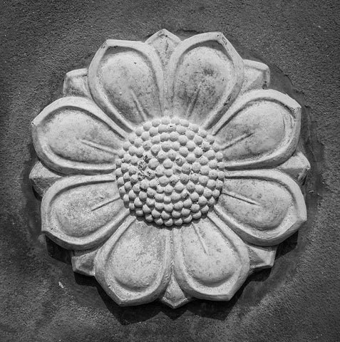 Textured grey stone flower carved into wall in India
