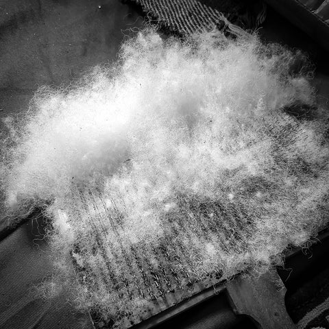 fluffy white wool on wooden hand carder