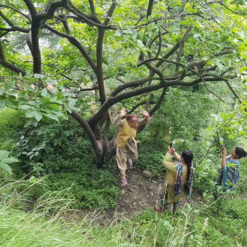 woman in India playfully jumps out of tree while friends take pictures
