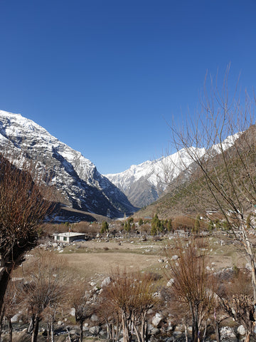 Miyar Valley, Himachal Pradesh