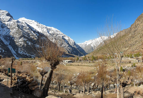 Lahaul Spiti Himachal Pradesh