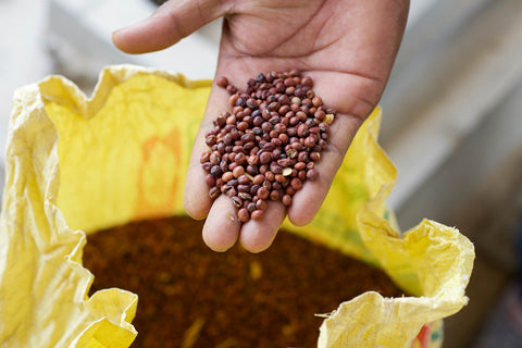 A hand drops lentils into a bag in a processing unit in India